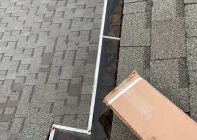 Professional Roof Replacement